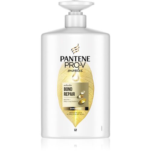 Pro-V Bond Repair stärkendes Shampoo für beschädigtes Haar mit Biotin 1000 ml - Pantene - Modalova