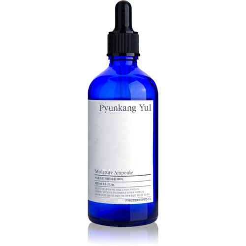 Moisture Ampoule esencia con efecto humectante 100 ml - Pyunkang Yul - Modalova