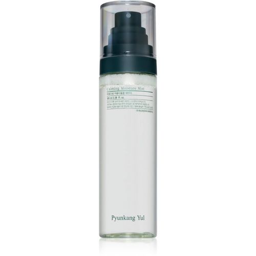 Calming Moisture Mist intensiver, beruhigender Nebel für empfindliche trockene Haut 100 ml - Pyunkang Yul - Modalova