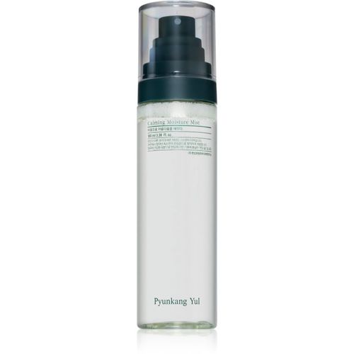 Calming Moisture Mist spray calmante intensivo para pieles sensibles y secas 100 ml - Pyunkang Yul - Modalova