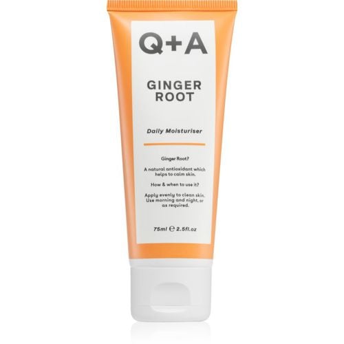 Ginger Root intensive, hydratisierende Creme 75 ml - Q+A - Modalova