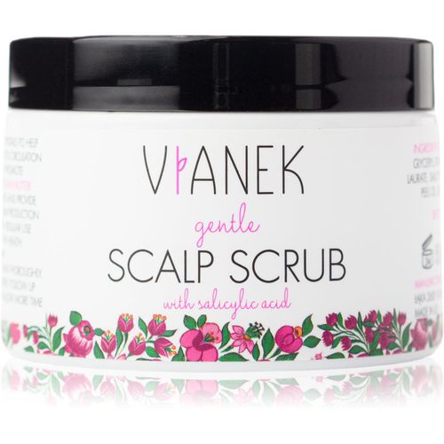 Gentle scrub delicato per capelli e cuoio capelluto 155 g - Vianek - Modalova