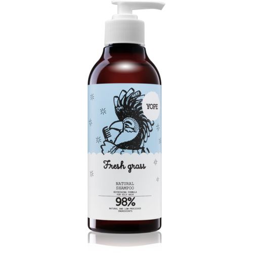 Fresh Grass Shampoo für fettiges Haar 300 ml - Yope - Modalova