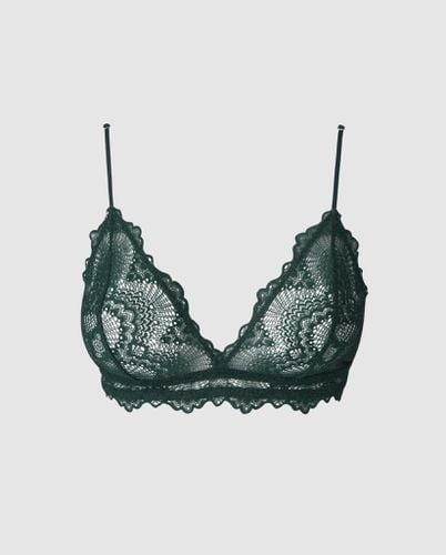 Lace Triangle Bralette - | Bralettes - Bralettes / Triangle Bralette - Understatement - Modalova