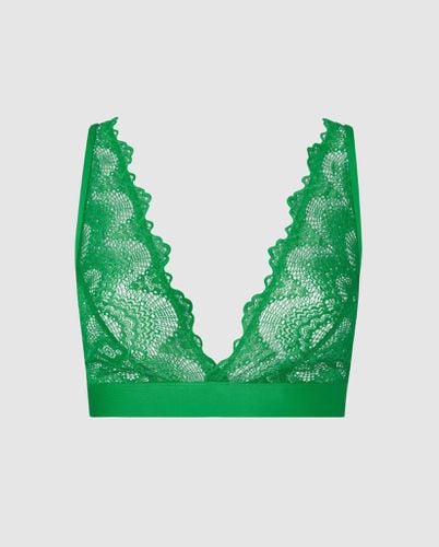 Lace Plunge Bralette - | Bralettes - Bralettes / Plunge Bralette - Understatement - Modalova