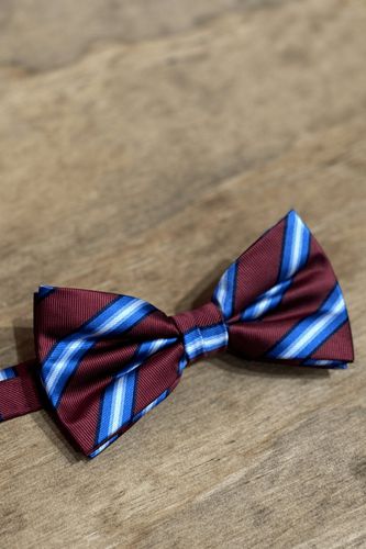 Bowtie - Rot/Blau - Mann - TeeShoppen - Modalova