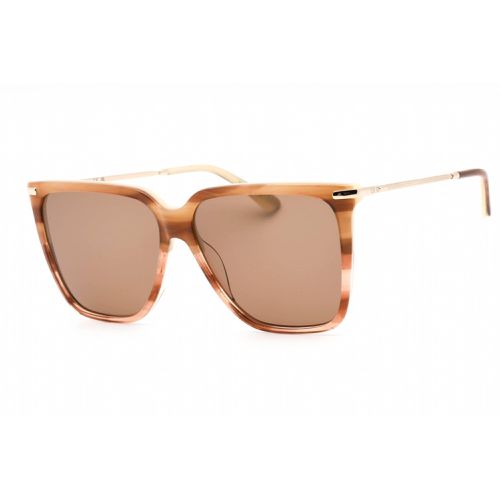 Women's Sunglasses - Striped Brown Square Frame Brown Lens / CK22531S 240 - Calvin Klein - Modalova