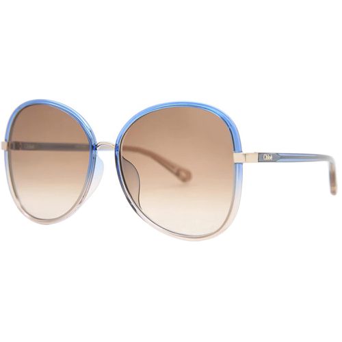 Women's Sunglasses - Blue Brown Acetate Oval Frame / CH0030SA-30009913002 - Chloe - Modalova