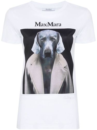 MAX MARA - Printed Cotton T-shirt - Max Mara - Modalova