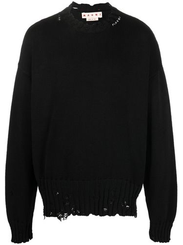 MARNI - Logo Sweater - Marni - Modalova