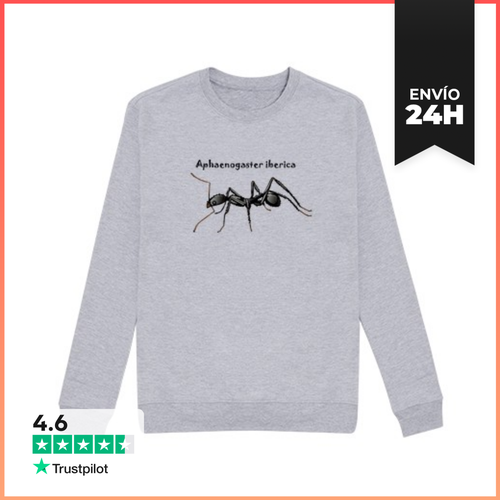 Sudadera Unisex Aphaenogaster Iberica LaTostadora - latostadora.com - Modalova