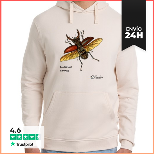 Sudadera Unisex Con Capucha Lucanus Cervus LaTostadora - latostadora.com - Modalova