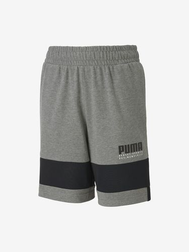Puma Alpha Kids shorts Grey - Puma - Modalova