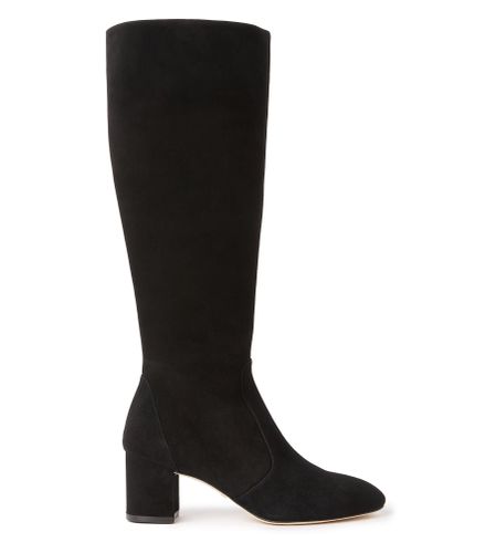 YULIANA 60 KNEE-HIGH ZIP BOOT, BOOTS AND BOOTIES, , SUEDE - Stuart Weitzman - Modalova