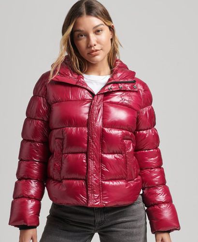 Women's Hooded Shine Sports Puffer Jacket / Dark Berry - Size: 10 - Superdry - Modalova