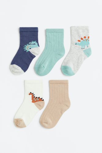 Er-Pack Socken Dunkelblau/Dinosaurier in Größe 10/12. Farbe: - H&M - Modalova