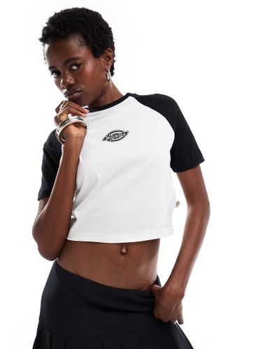 Exclusivité ASOS - Sodaville - T-shirt crop top à manches courtes - /blanc - Dickies - Modalova