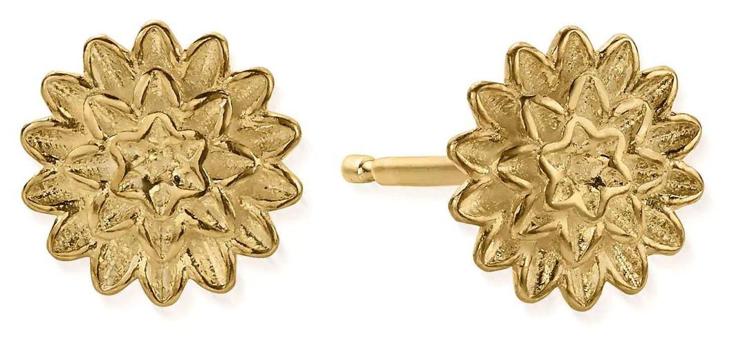 GEST3299 Botanical Beauty Stud Earrings | Jewellery - ChloBo - Modalova