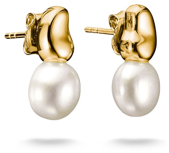 H2320-430-14 Gold-plated Ear Studs With Jewellery - Thomas Sabo - Modalova