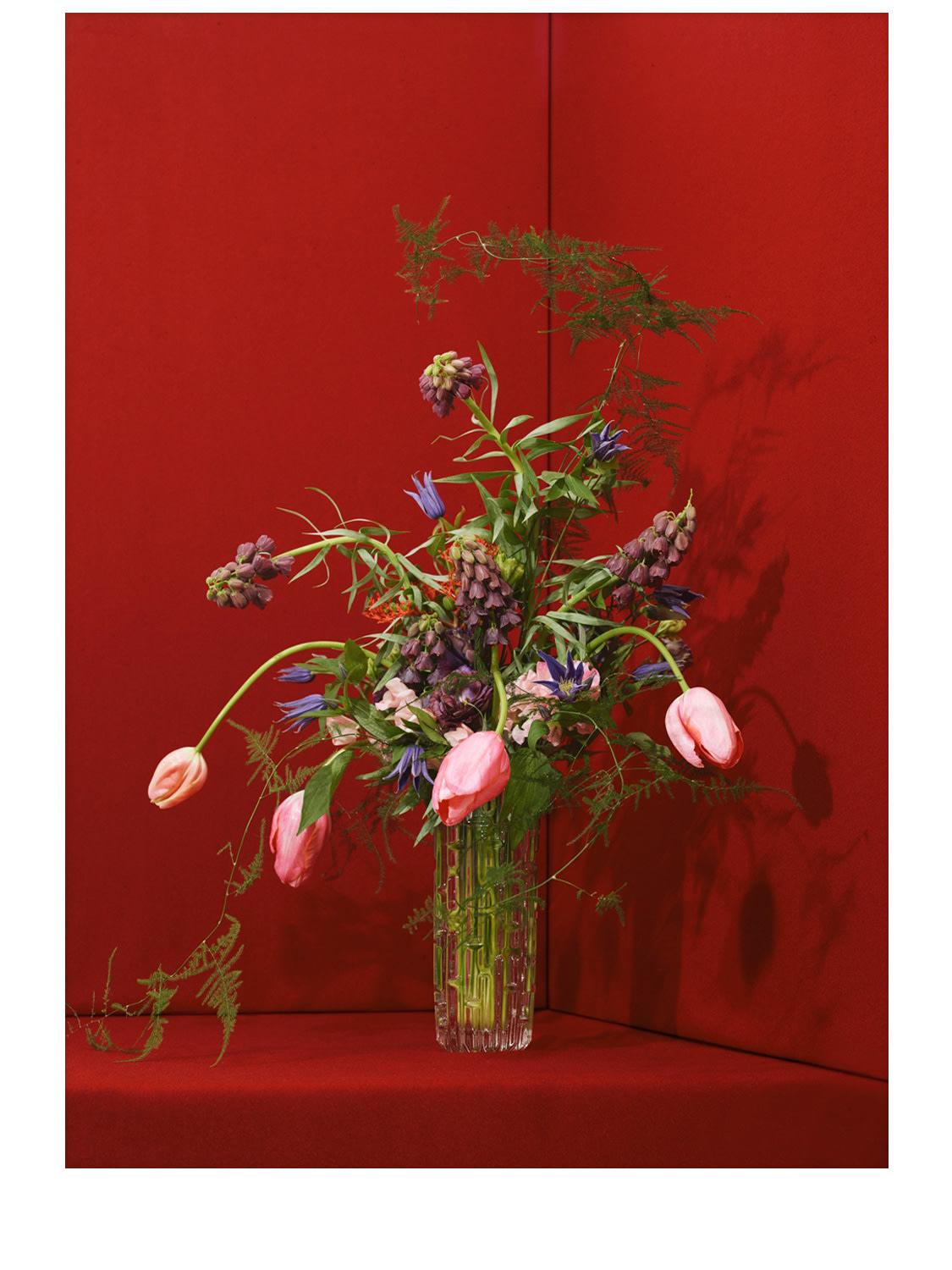 Wanddekoration „blomst 03 - Red“ - PAPER COLLECTIVE - Modalova