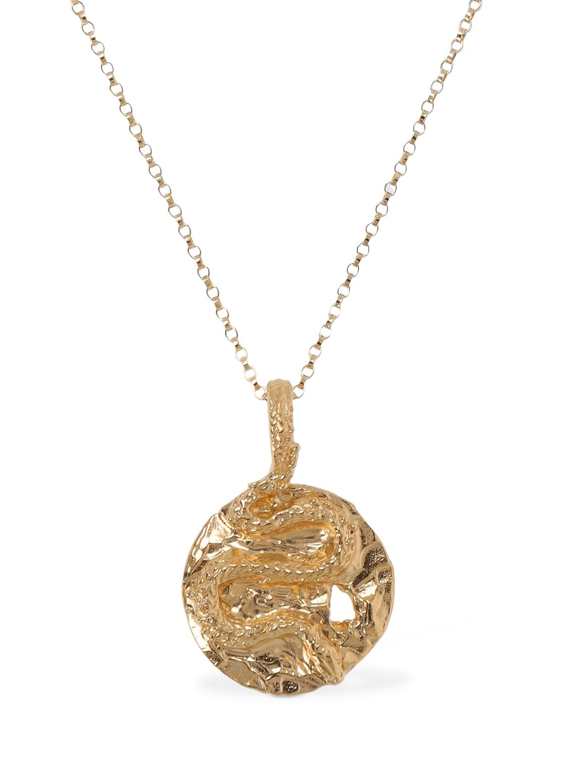The Medusa Medallion Necklace - ALIGHIERI - Modalova