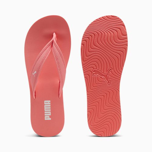 Sandy Flip-Flops, , Größe: 35.5, Schuhe - PUMA - Modalova