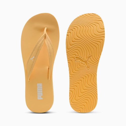 Sandy Flip-Flops Damen, , Größe: 35.5, Schuhe - PUMA - Modalova