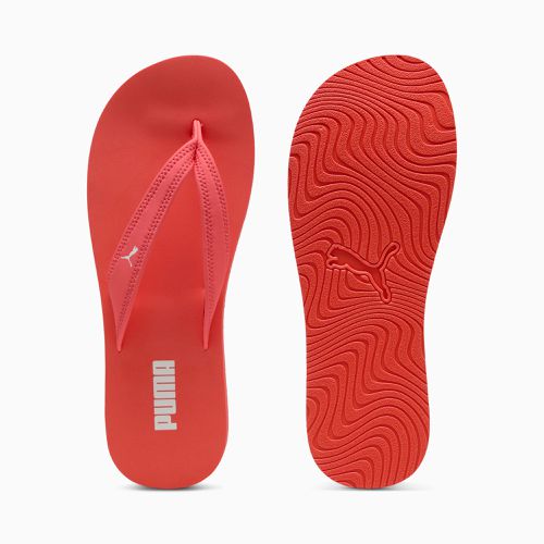 Sandy Flip-Flops Damen, /, Größe: 35.5, Schuhe - PUMA - Modalova