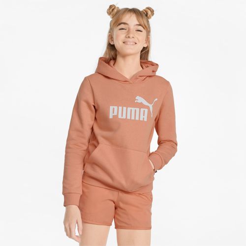 Essentials Logo Youth Hoodie, , size 13-14 Youth - PUMA - Modalova