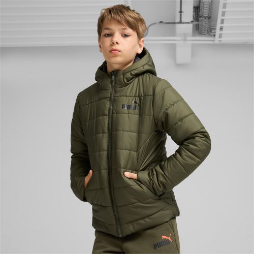 Essentials Padded Jacket Youth, , size 13-14 Youth - PUMA - Modalova