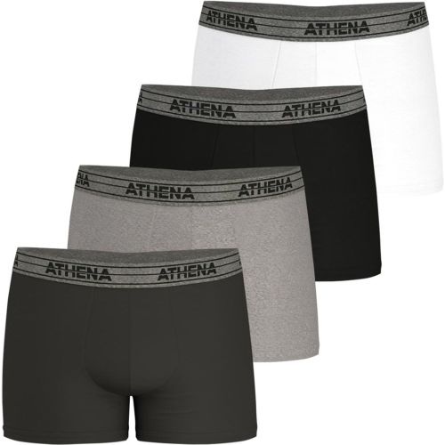 Lot de 4 boxers Eco Pack Basic Coton - Athena - Modalova