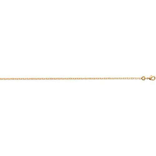 Chaine plaqué or 1,9 mm - YY5060 - Maison de la Bijouterie - Modalova