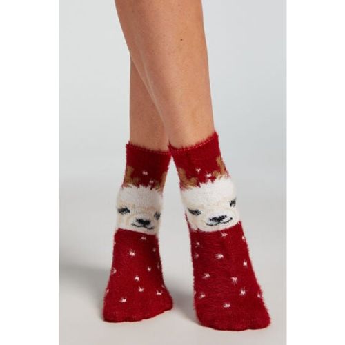 Hunkemöller 2 pairs of socks Cosy - Hunkemöller - Modalova