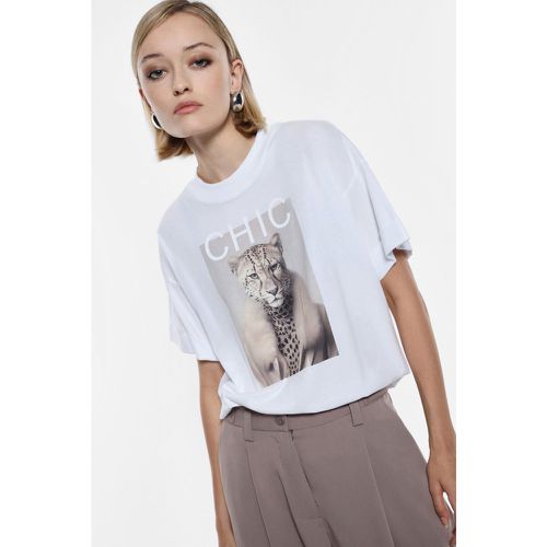 T-shirt oversize con stampa felino - Imperial - Modalova