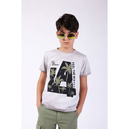 T-shirt bambino in puro cotone monocolour con stampa - Imperial - Modalova