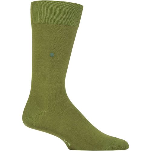 Mens 1 Pair Burlington Lord Plain Cotton Socks Moss 11-14 Mens - SockShop - Modalova