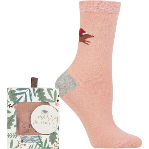 Women's 1 Pair Christmas Foliage Gift Boxed Cotton Socks Dachshund 4-8 Ladies - Caroline Gardner - Modalova