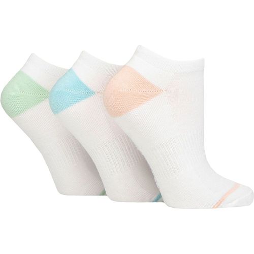 Women's 3 Pair Cushion Bamboo Sports Trainer Socks White / Sage 4-8 - Glenmuir - Modalova