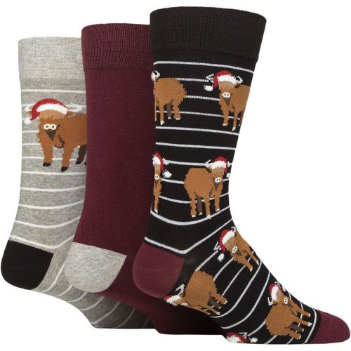 Mens 3 Pair SOCKSHOP Cotton Christmas Gift Socks Highland Cow 7-11 - Wildfeet - Modalova