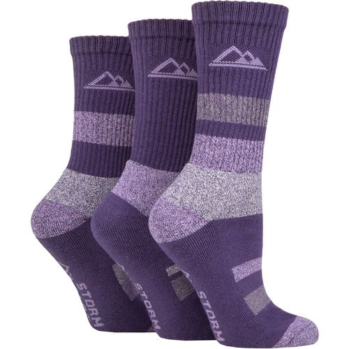 Women's 3 Pair Cotton Striped Boot Socks Charcoal / 4-8 Ladies - Storm Bloc - Modalova