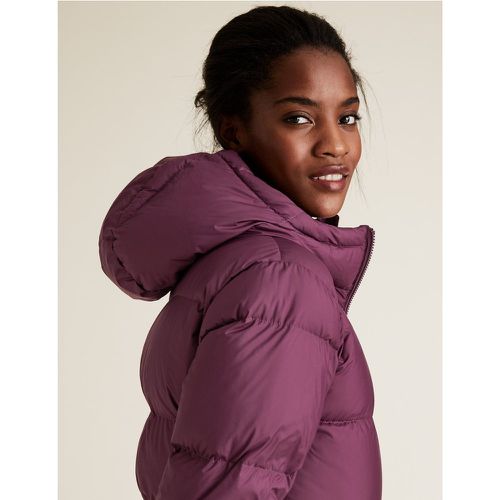 Feather & Down Waisted Puffer Jacket red - Marks & Spencer - Modalova