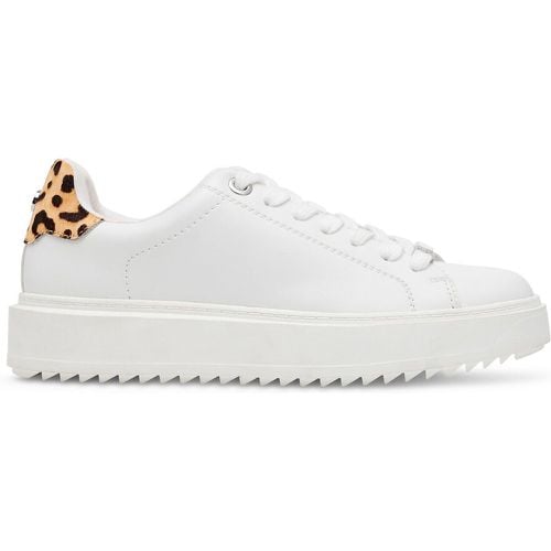 Catcher Trainers - Steve Madden - Modalova