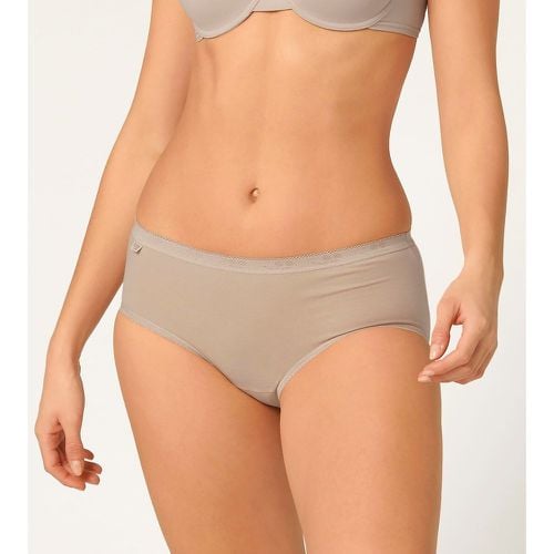 Pack of 3 Basic Midi Knickers in Cotton - Sloggi - Modalova