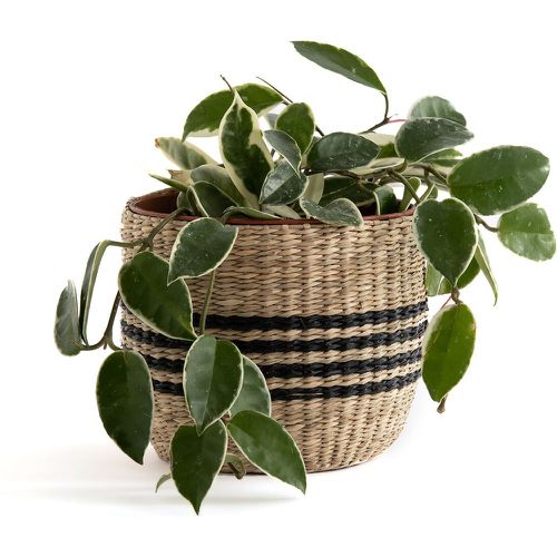 Mila 13cm Diameter Wicker Flower Pot - LA REDOUTE INTERIEURS - Modalova