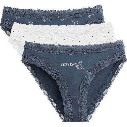 Pack of 3 Knickers in Cotton - LA REDOUTE COLLECTIONS - Modalova