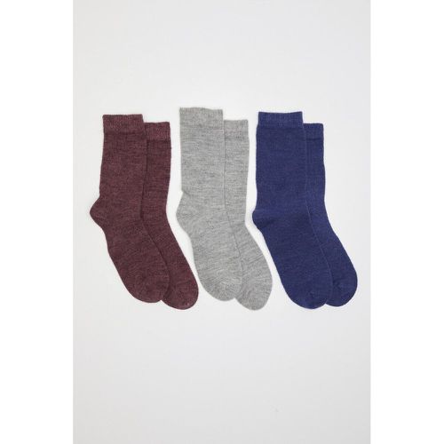 Pack of 3 Pairs of Plain Thermolactyl Socks - DAMART - Modalova