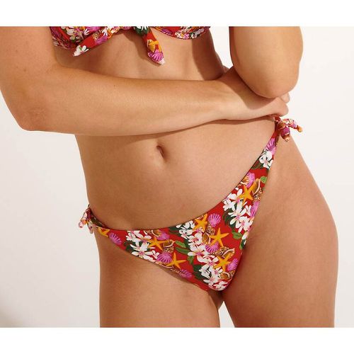 Mikta Shellbay Bikini Bottoms in Floral - banana moon - Modalova