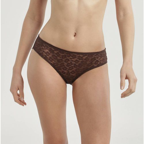 Generous Leo Choco Knickers - Dim - Modalova