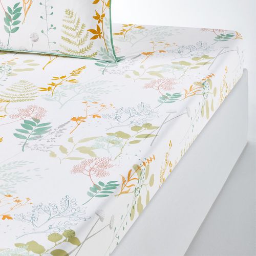 Herbarium Floral 100% Cotton Percale 200 Thread Count Fitted Sheet - LA REDOUTE INTERIEURS - Modalova