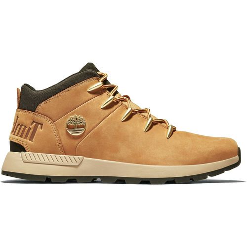 Nubuck Trainers - Timberland - Modalova